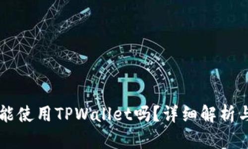 苹果手机能使用TPWallet吗？详细解析与使用指南
