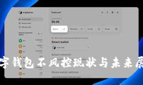 数字钱包不风控现状与未来展望