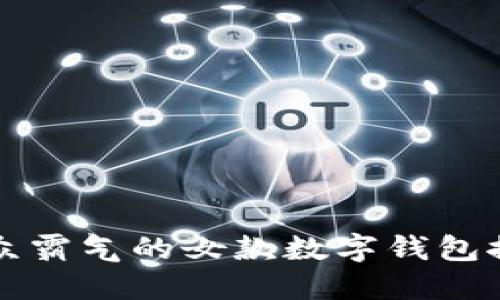 小众霸气的女款数字钱包推荐