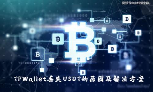 TPWallet丢失USDT的原因及解决方案