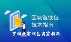 罗湖数字钱包商家指南
