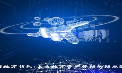 BDS数字钱包：未来数字资产管理的理想选择