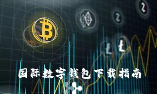 国际数字钱包下载指南