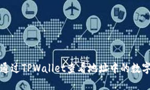 如何通过TPWallet查看地址中的数字资产