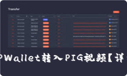 : 如何通过TPWallet转入PIG视频？详细步骤与技巧