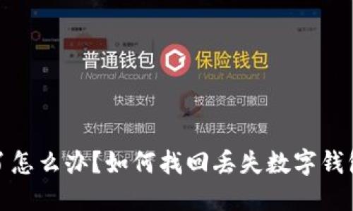 数字钱包丢了怎么办？如何找回丢失数字钱包的解决方案