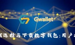 如何选择与下载数字钱包