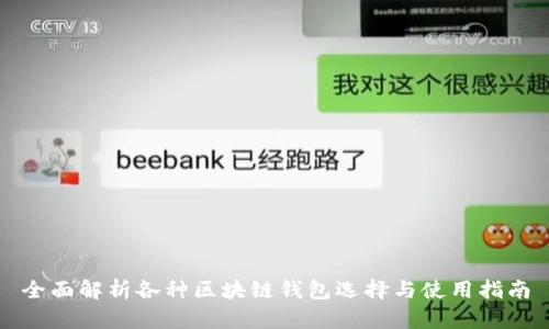 全面解析各种区块链钱包选择与使用指南