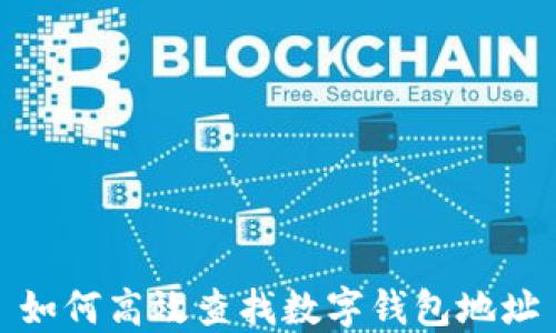 
如何高效查找数字钱包地址