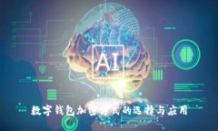 数字钱包加密方式的选择