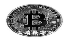 学生钱包上有数字的影响