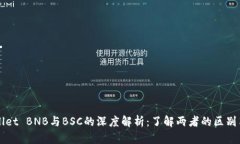 TPWallet BNB与BSC的深度解析