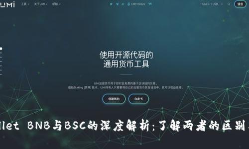 TPWallet BNB与BSC的深度解析：了解两者的区别与联系
