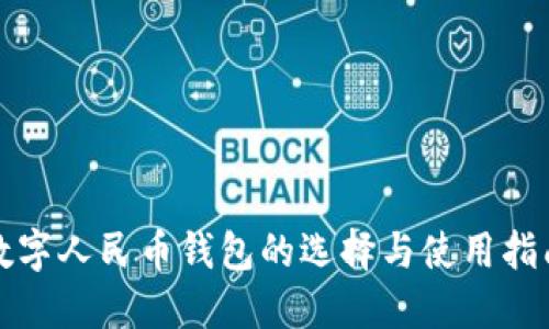 数字人民币钱包的选择与使用指南