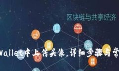 如何在TP Wallet中上传头像