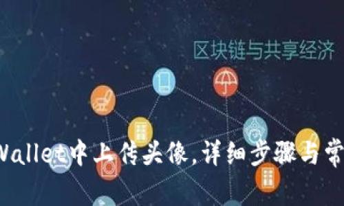 如何在TP Wallet中上传头像，详细步骤与常见问题解答