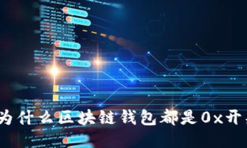 : 为什么区块链钱包都是0x开头？