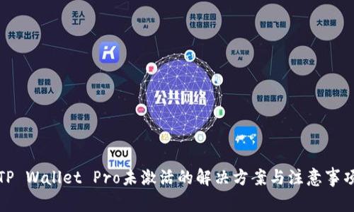 TP Wallet Pro未激活的解决方案与注意事项