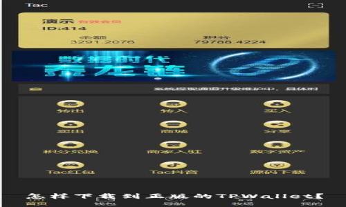 怎样下载到正版的TPWallet？