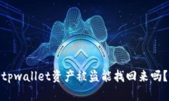 tpwallet资产被盗能找回来吗