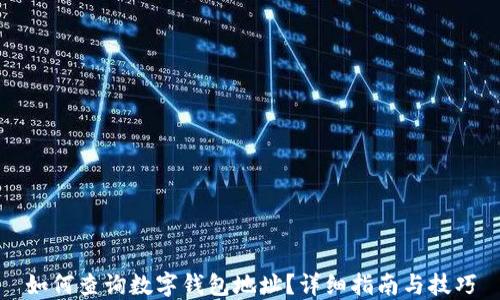 
如何查询数字钱包地址？详细指南与技巧