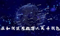 广东地区如何使用数字人