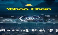 TPWallet K线图APP：透视数字