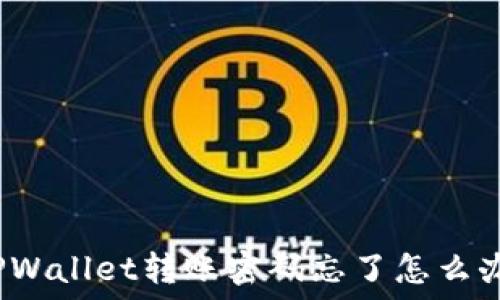   
TPWallet转账密码忘了怎么办？