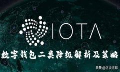 数字钱包二类降级解析及