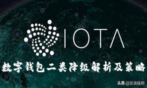 数字钱包二类降级解析及策略