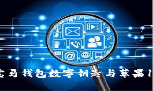 如何使用宝马钱包数字钥匙与苹果14手机连接