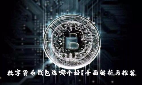 数字货币钱包选哪个好？全面解析与推荐