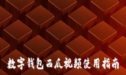  
数字钱包西瓜视频使用指南
