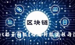 TPWallet能否升级？详解升级