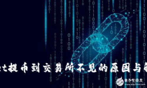 TPWallet提币到交易所不见的原因与解决方案