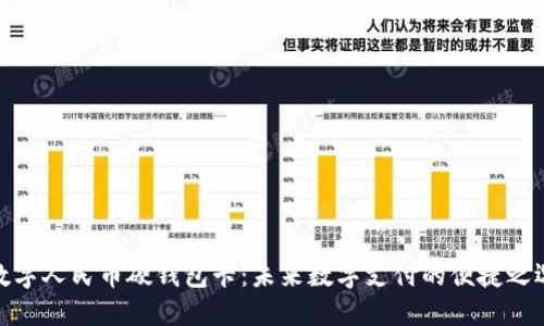 数字人民币硬钱包卡：未来数字支付的便捷之选