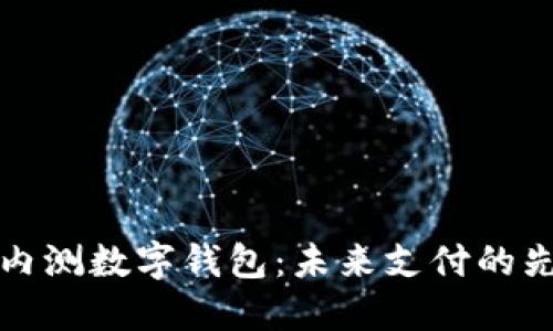 深圳内测数字钱包：未来支付的先行者