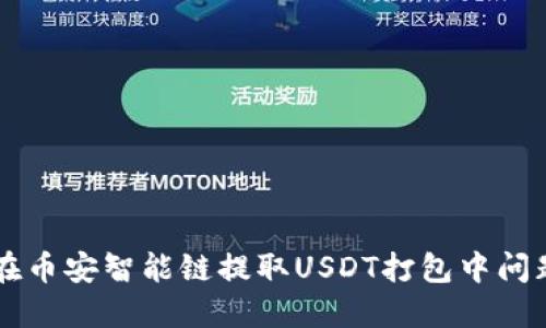 TPWallet在币安智能链提取USDT打包中问题解决指南