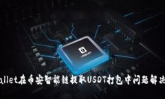 TPWallet在币安智能链提取