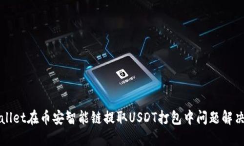 TPWallet在币安智能链提取USDT打包中问题解决指南