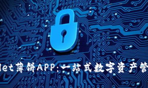 TPWallet薄饼APP：一站式数字资产管理平台