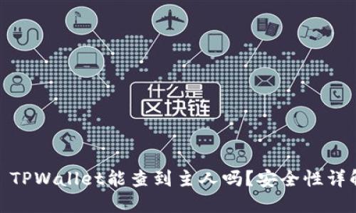 : TPWallet能查到主人吗？安全性详解
