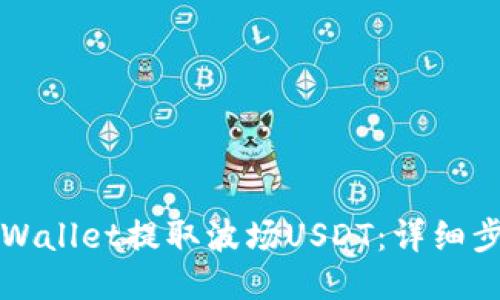 如何从TPWallet提取波场USDT：详细步骤与指南