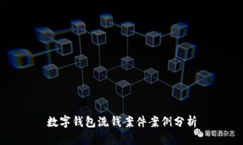 数字钱包洗钱案件案例分析