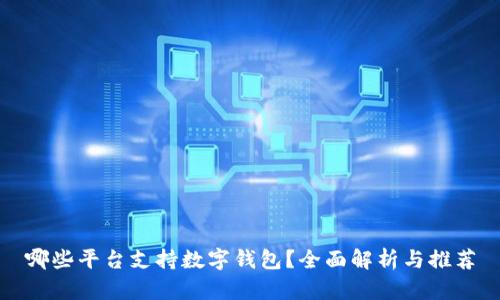 哪些平台支持数字钱包？全面解析与推荐