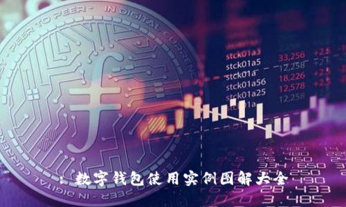 : 数字钱包使用实例图解大全