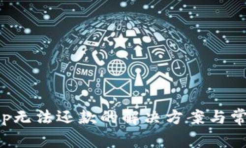 数字钱包App无法还款的解决方案与常见问题解析