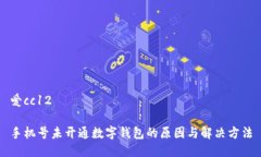 爱cc12手机号未开通数字钱