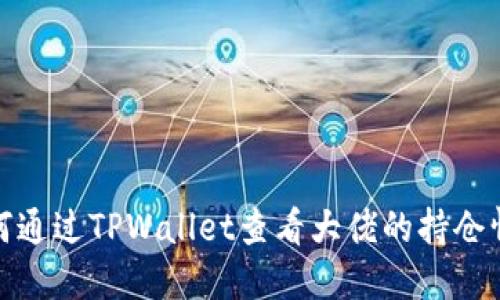 如何通过TPWallet查看大佬的持仓情况