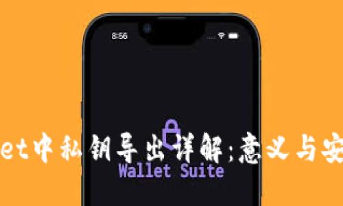 TPWallet中私钥导出详解：意义与安全策略